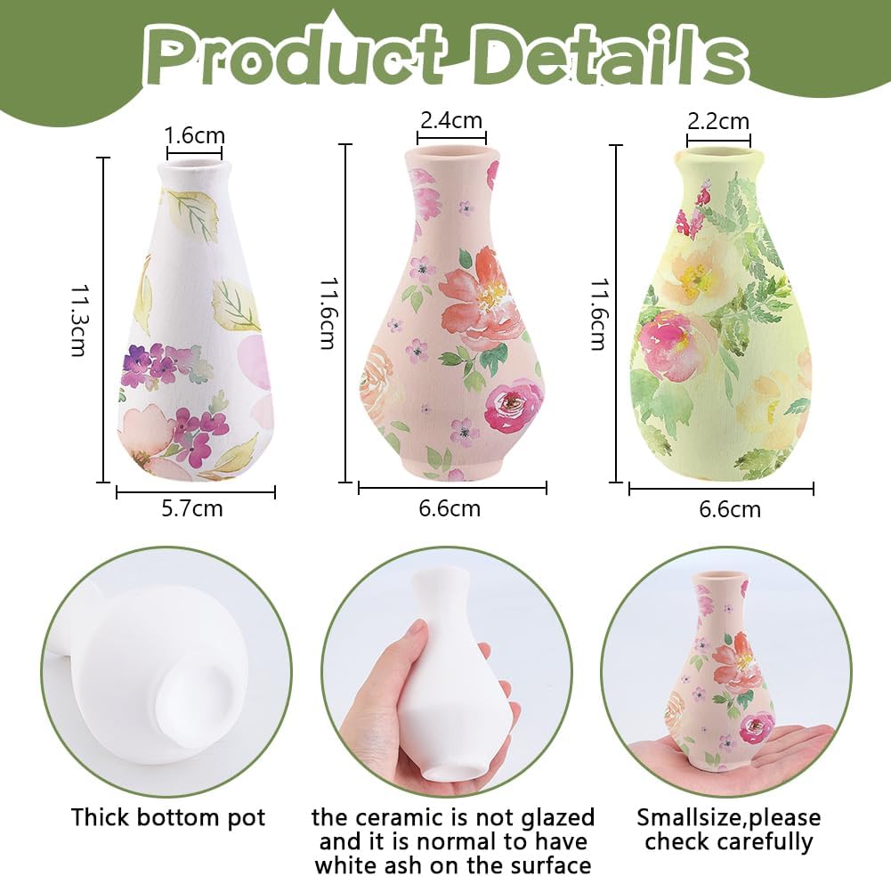 WEBEEDY 3 Styles DIY Ceramic Vase Paint Kit Unpainted White Ceramic Pottery Vase for Adults Beginner Paint Your Own Porcelain Vases for Home Kitchen Table Decoration DIY Birthday Gift