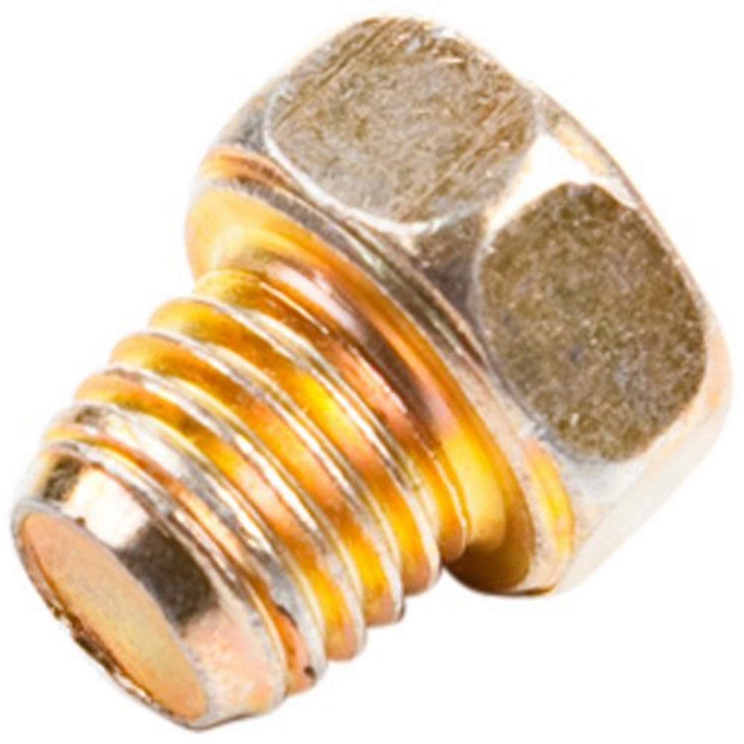 法螺貝　ＮＯ５７
ホラ貝、和楽器、和太鼓、修験道 220B0650 NOS Kawasaki Panhead Screw ZX900 ZX1000 KZ400 KX250