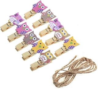 N-K Lot de 10 mini pinces à linge en forme de hibou - Très durables - Pour travaux manuels, scrapbooking, travaux manuels