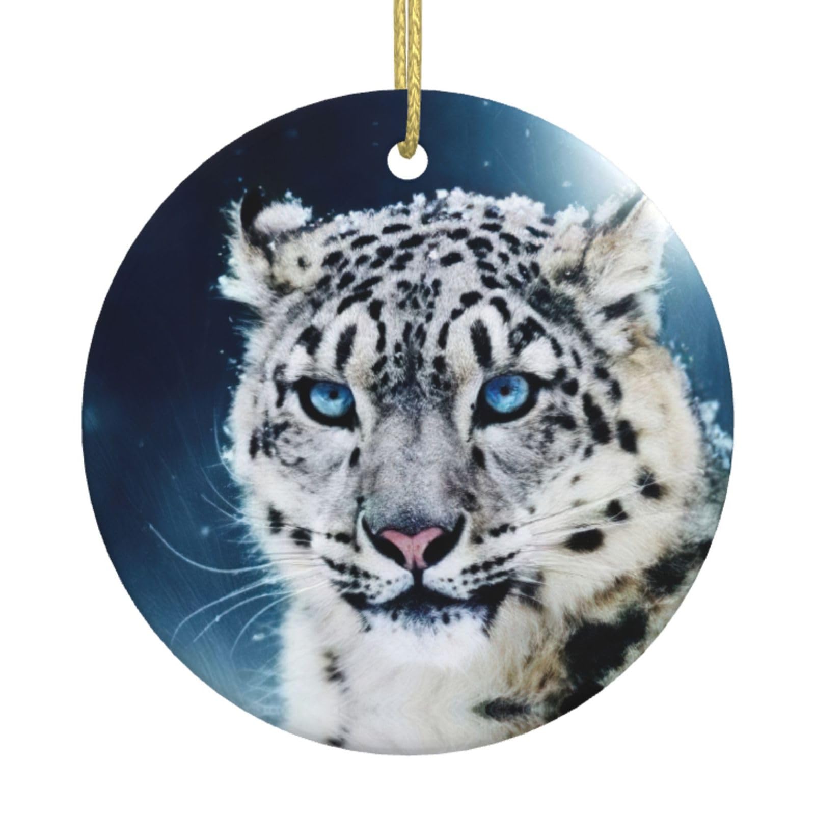 Christmas Hanging Decoration,Ceramic Ornamentï¼ŒXmas Tree Keepsake Bauble Blue eyed snow leopard