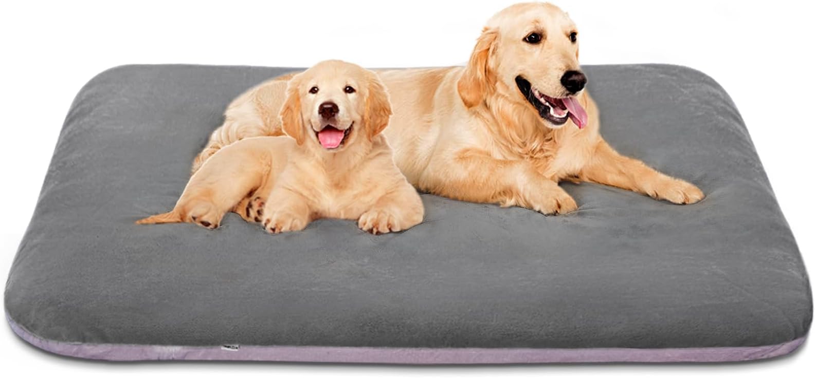 Dogbed4less Extra Large True Orthopedic Gel Memory Foam