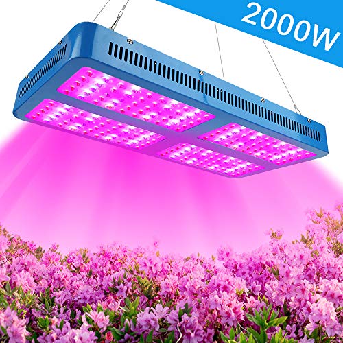 LED Horticole Lampe 2000W...