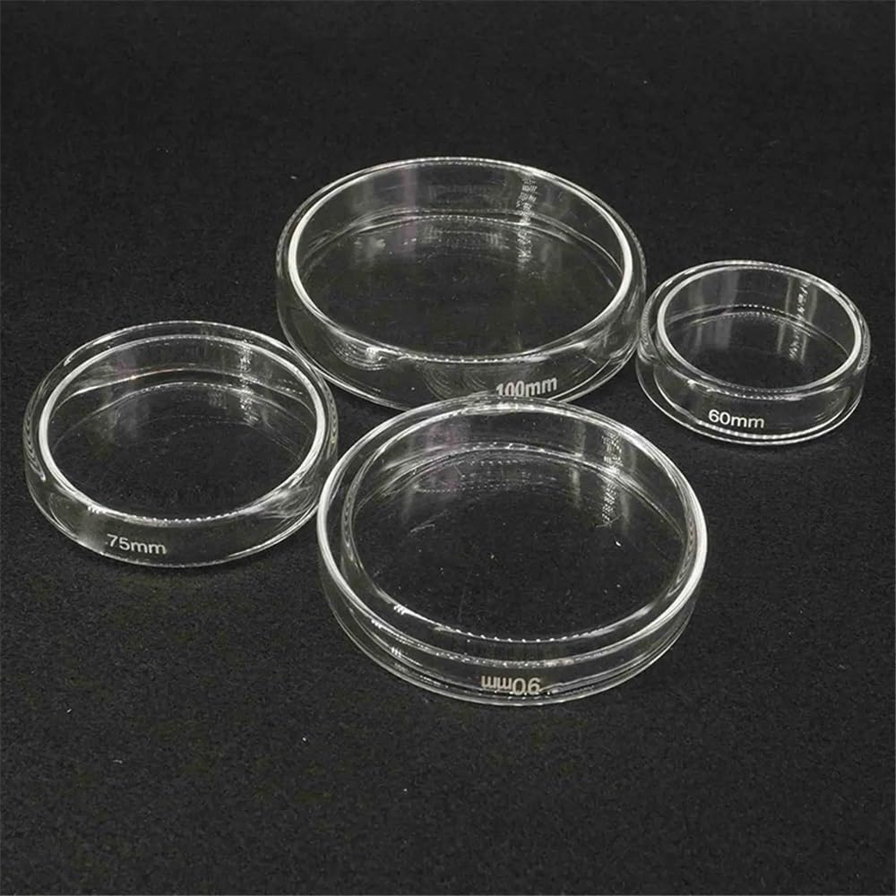 Laborausstattung und -bedarf 75/90/100/120/150/180/200mm Mit Deckel Glas Klar Steril Instrument Kultur