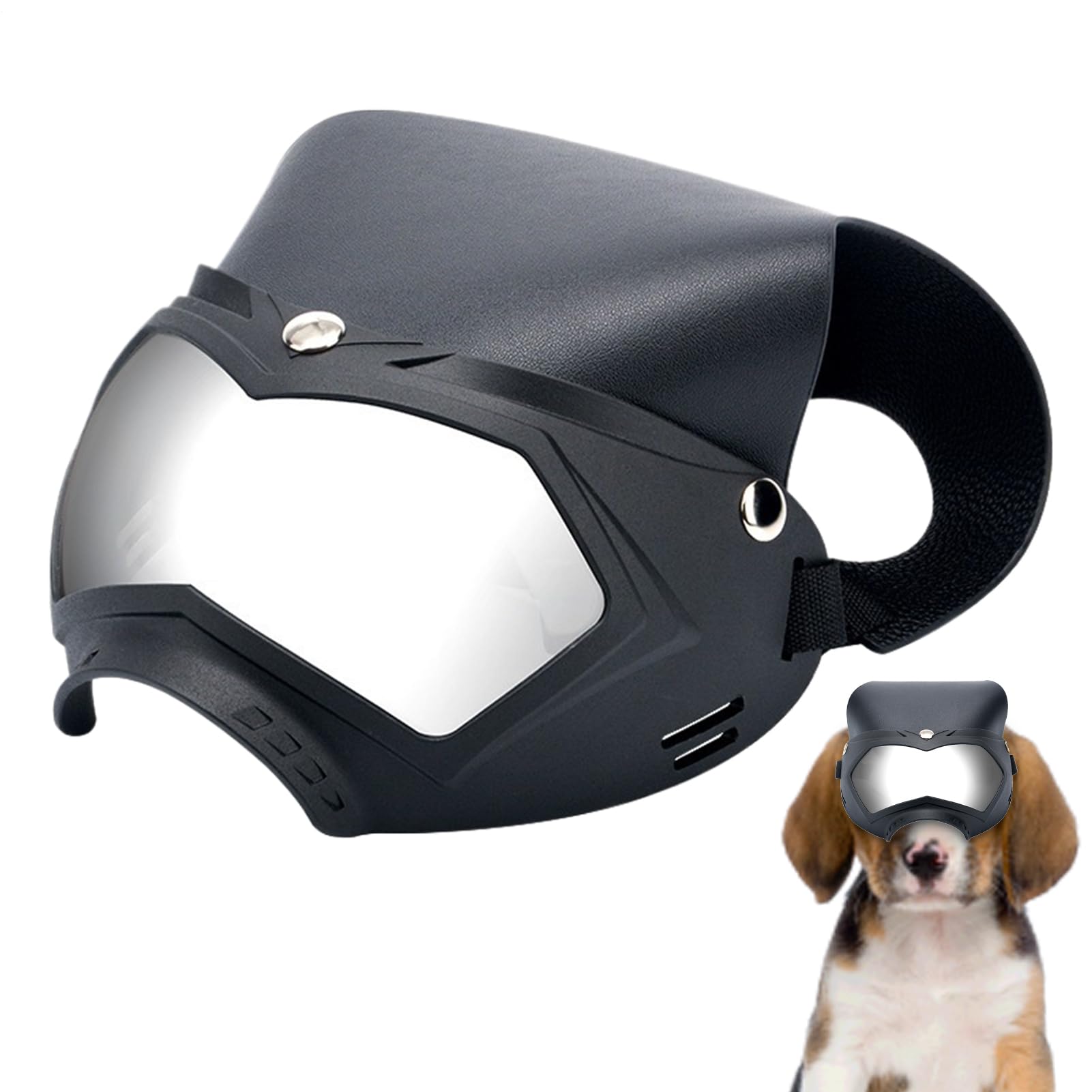 Lunettes pour chien et casque antichoc amovible avec sangle réglable