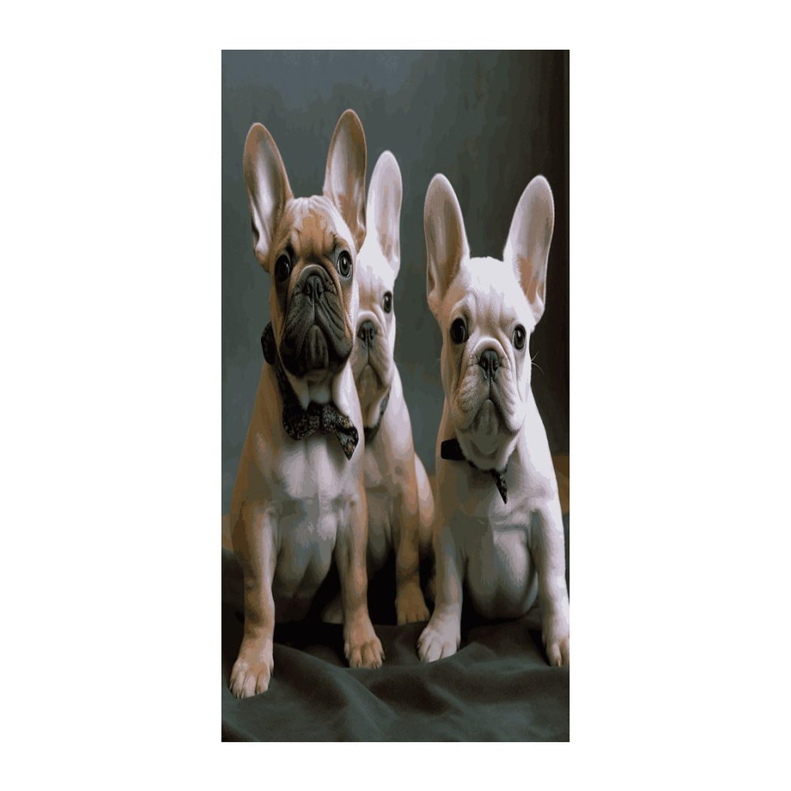 Fekiloot Style French Bulldog Puppies Door Curtain Room Divider Curtains