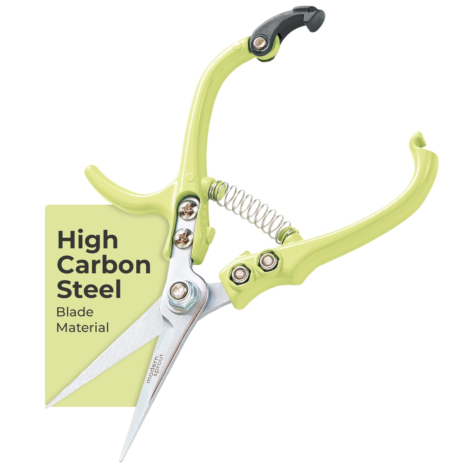 Modern Sprout Pruning Shears
