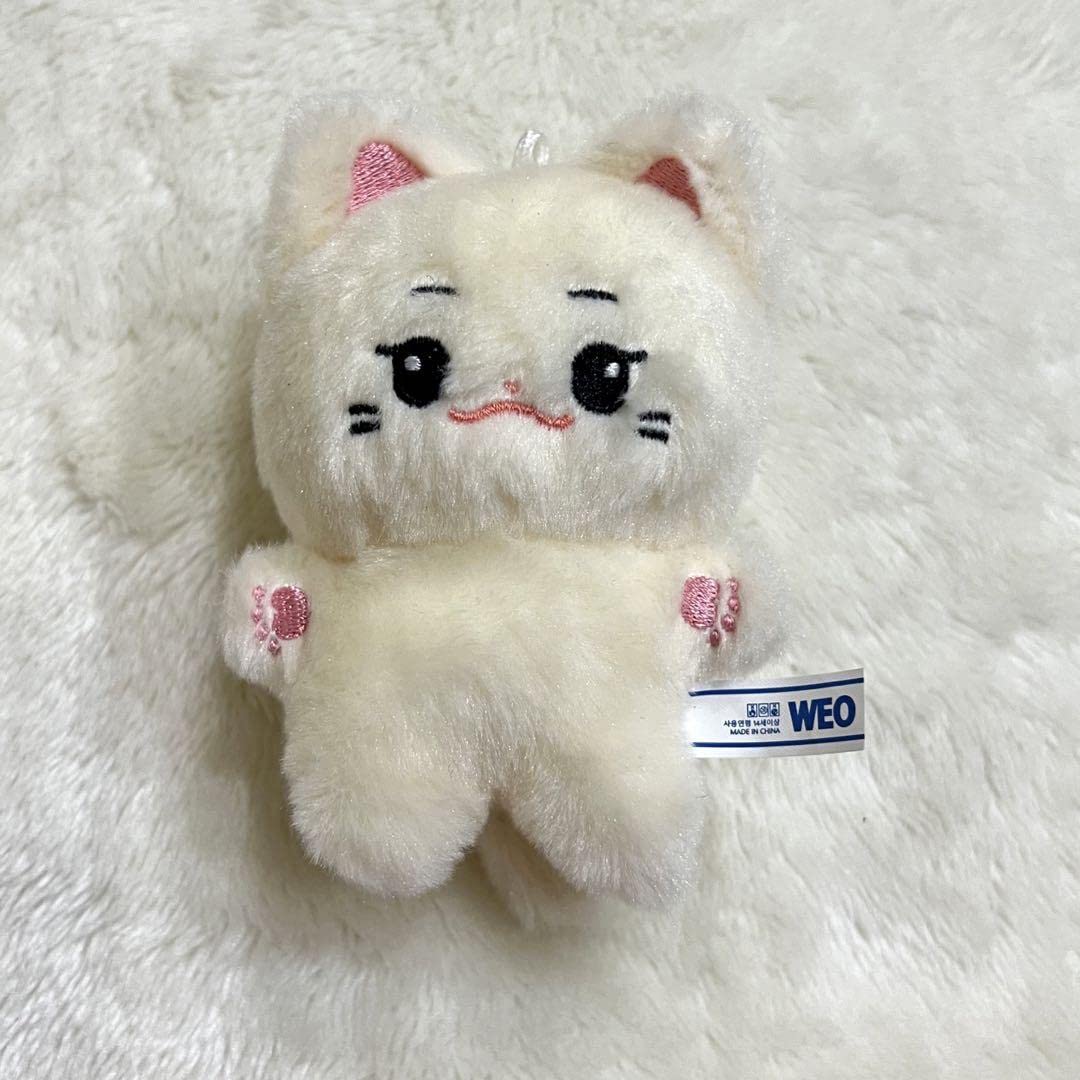 Amazon.co.jp: ateez アチズ ホンジュン ぬいぐるみ 중중 ドール  