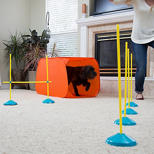 Outward Hound Zip & Zoom Indoor Dog Agility Training Kit for Dogs - Image 6