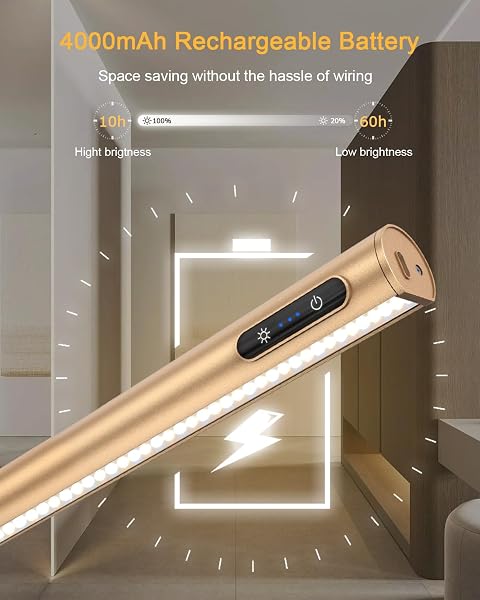GOVSSING Picture Lights for Wall - 4000mAh Battery Operated Wall Lights with Remote, 3 Color Temps & Brightness Adjustable, 15.7” Rechargeable Wall Light, Memory & Timer Functions USB-C - 2