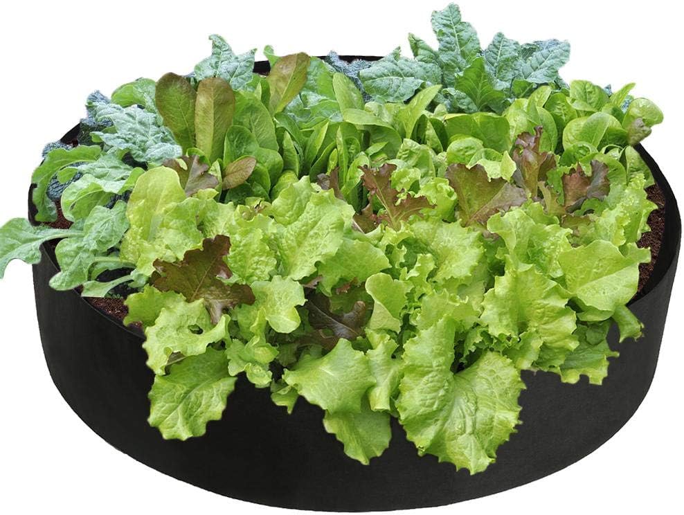LWAN3 Extra Large Raised Garden Bed, 15Gallon Round Felt Fabric Plants Grow Bag, Breathable Planting Bed Fabric Planter Pot for Vegetable Herb Flowers
