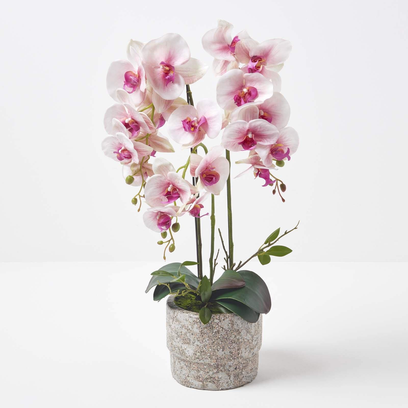 HOMESCAPES Orchidée Artificielle Rose en Pot en Ciment Naturel, Fleurs artificielles déco 64 cm
