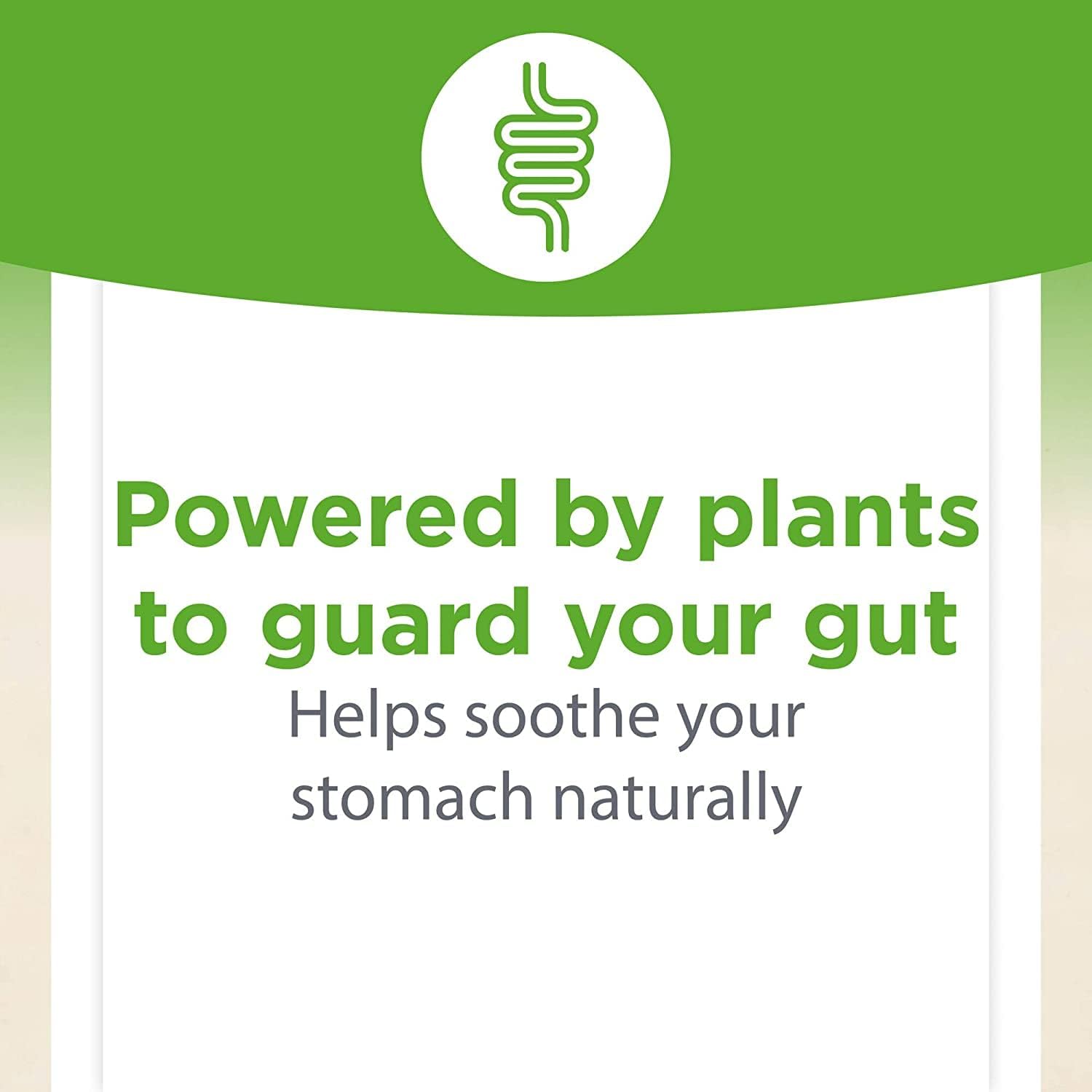 Natural Factors, DGL Licorice Root Extract, Natural Digestive Relief, 90 Chewable Tablets : Health & Household