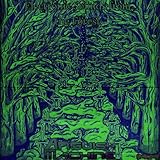 Electronic Sounds from the Forest (Forest Version)