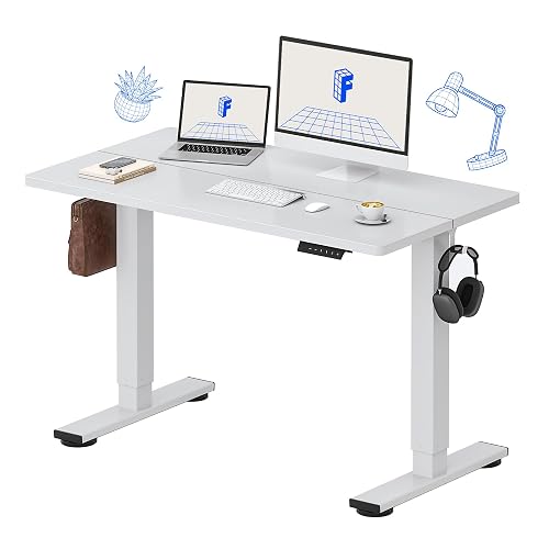 FLEXISPOT 48x24 Inch Electric Standing Desk, White | Home Office,