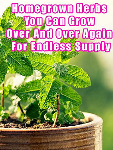 Homegrown Herbs You Can Grow Over And Over Again For