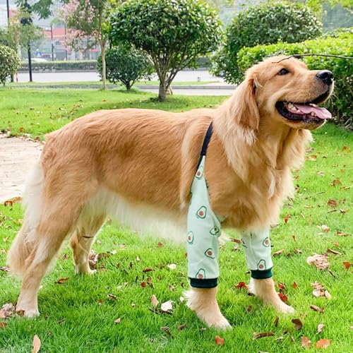 Image of Dog Elbow Protector, Thickened Elbow Sleeves with Mesh Pad for Medium Large Dogs Winter Autumn Prevent Licking Wound (Avocado,L)