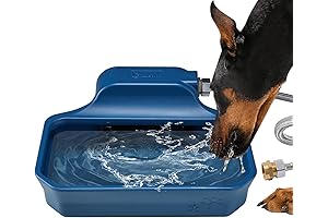 Outdoor Automatic Water Dispenser for Dogs