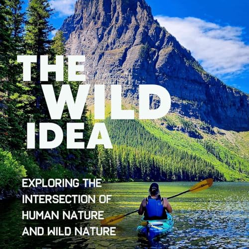 The Wild Idea cover art