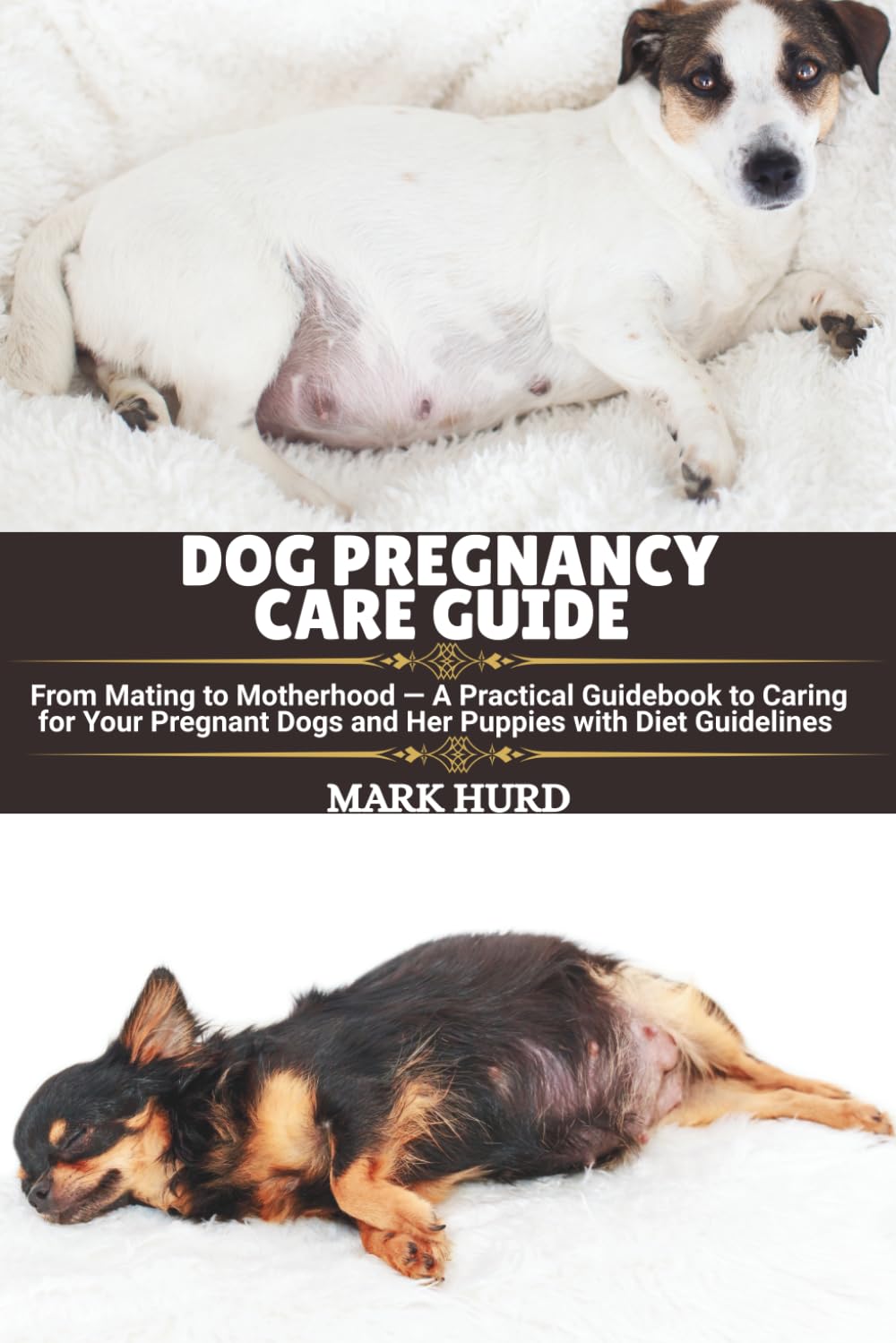 DOG PREGNANCY CARE GUIDE: From Mating to Motherhood — A Practical Guidebook to Caring for Your Pregnant Dogs and Her Puppies with Diet Guidelines: 3 (POSITIVE REINFORCEMENT PET HOME)