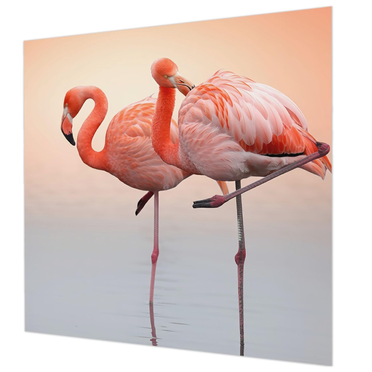 Papier peint intissé flamants roses 250x250 cm Tulup déco murale salon