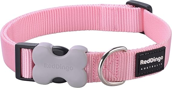 Red Dingo Classic Dog Collar, Large, Pink