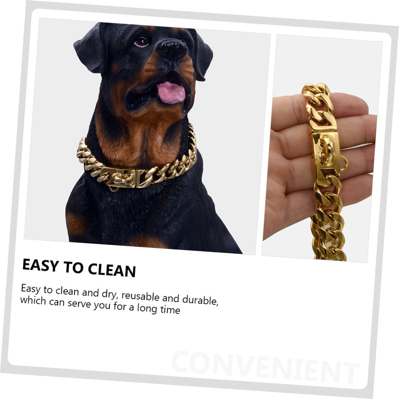 Collier à Chien Résistant en pour Acier Inoxydable Or l'usure Confortable à Porter, Facile à Mettre Enlever, Accessoire Décoratif pour Chiots