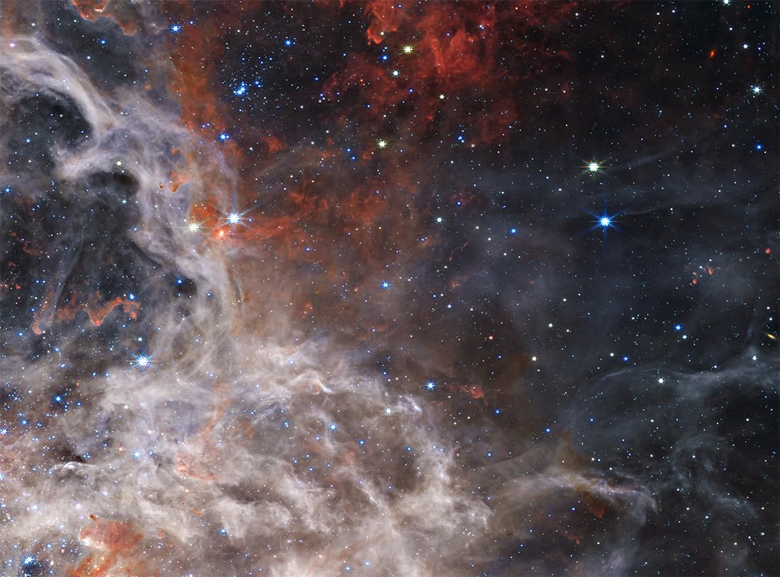 Dark-Skys HS-55 Tarantula Nebula Star disc for The Homestar Flux