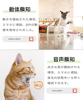 自動餌やり機 猫 犬 10回 旅行 ペットモニター 動作検知 音声検知 アプリ 楽天市場】＼ 今だけ400円OFF☆8/27 9:59迄 クーポン利用で