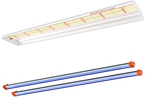Spider Farmer SF600: Supercharge Your Indoor Plant Growth with Full Spectrum LED and Advanced Technology