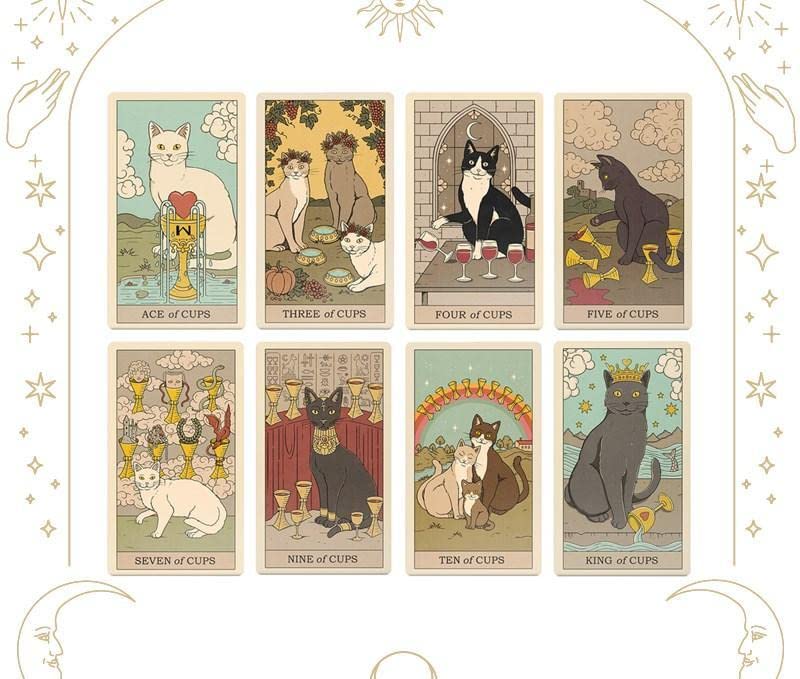 正規品✨人気デッキ✨日本版未発売✨可愛いにゃんこ♪地球の猫たちのタロットカード Amazon.co.jp: カード日本版未発売可愛い地球猫たちタロット