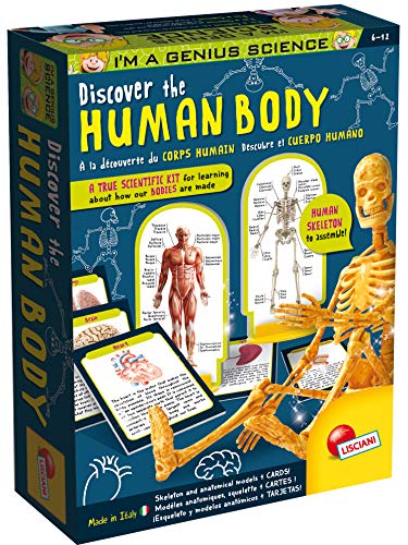 Lisciani I’m A Genius Human Anatomy Learning Kit with Illustrated Cards and Plastic Skeleton -EX48960