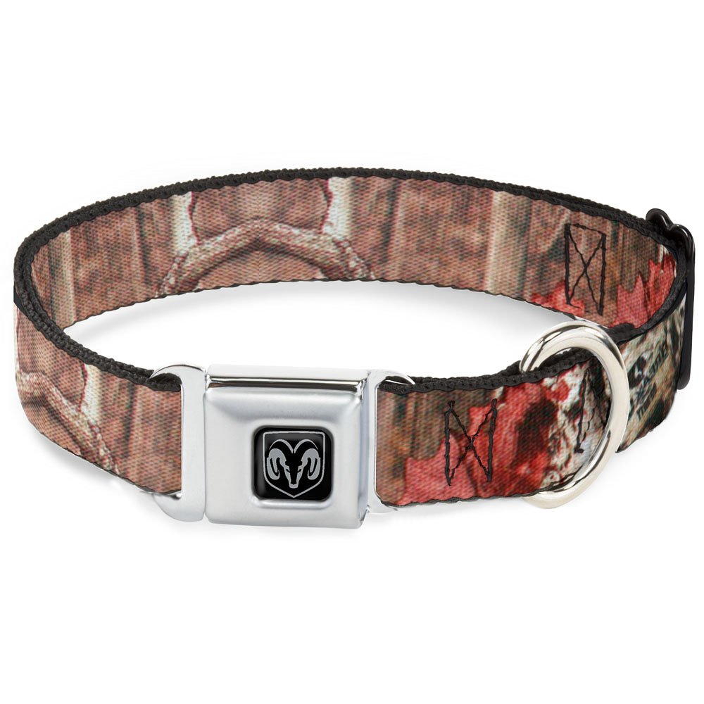 Buckle-Down Seatbelt Buckle Dog Collar - Mossy Oak Break-Up