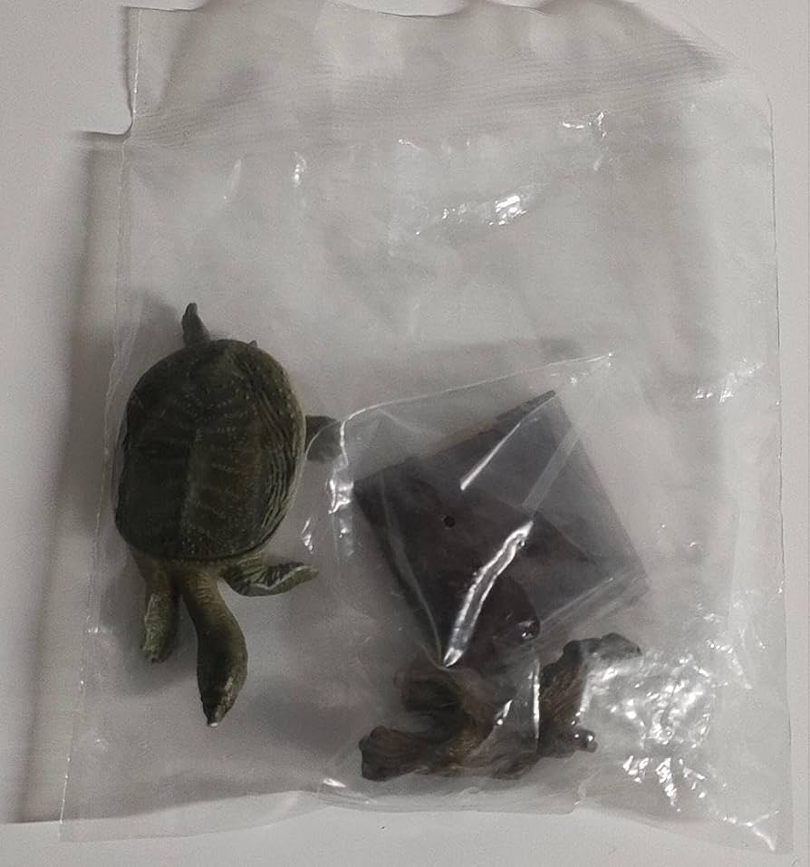 Amazon.co.jp: ネイチャーテクニカラー NTC 日本のカメ ニホン