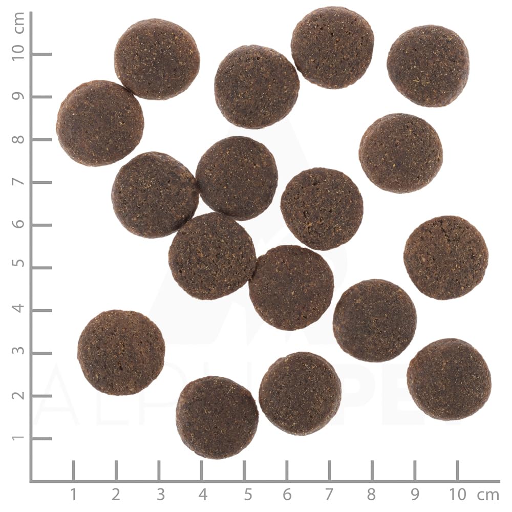 WOLFSBLUT | Trockenfutter mit natürlichen Zutaten und wertvollen Superfoods für ausgewachsene Hunde. Getreidefreies Alleinfutter ohne Zusatzstoffe im Beutel | 12,5kg
