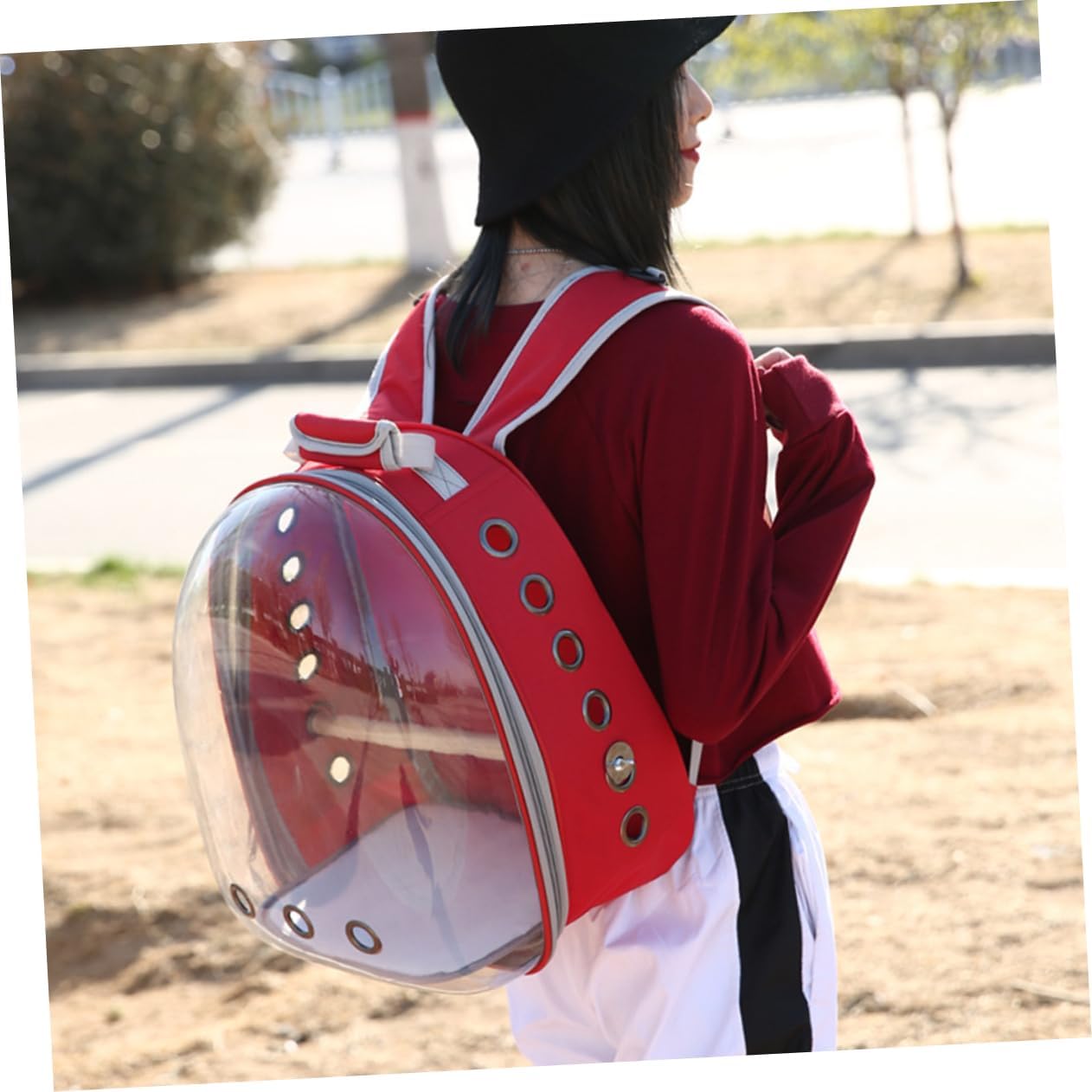 Portable Parrot Backpack Breathable Outdoor Carry Bag with Venting Comfortable Transparent Space Capsule for Birds and Design Red