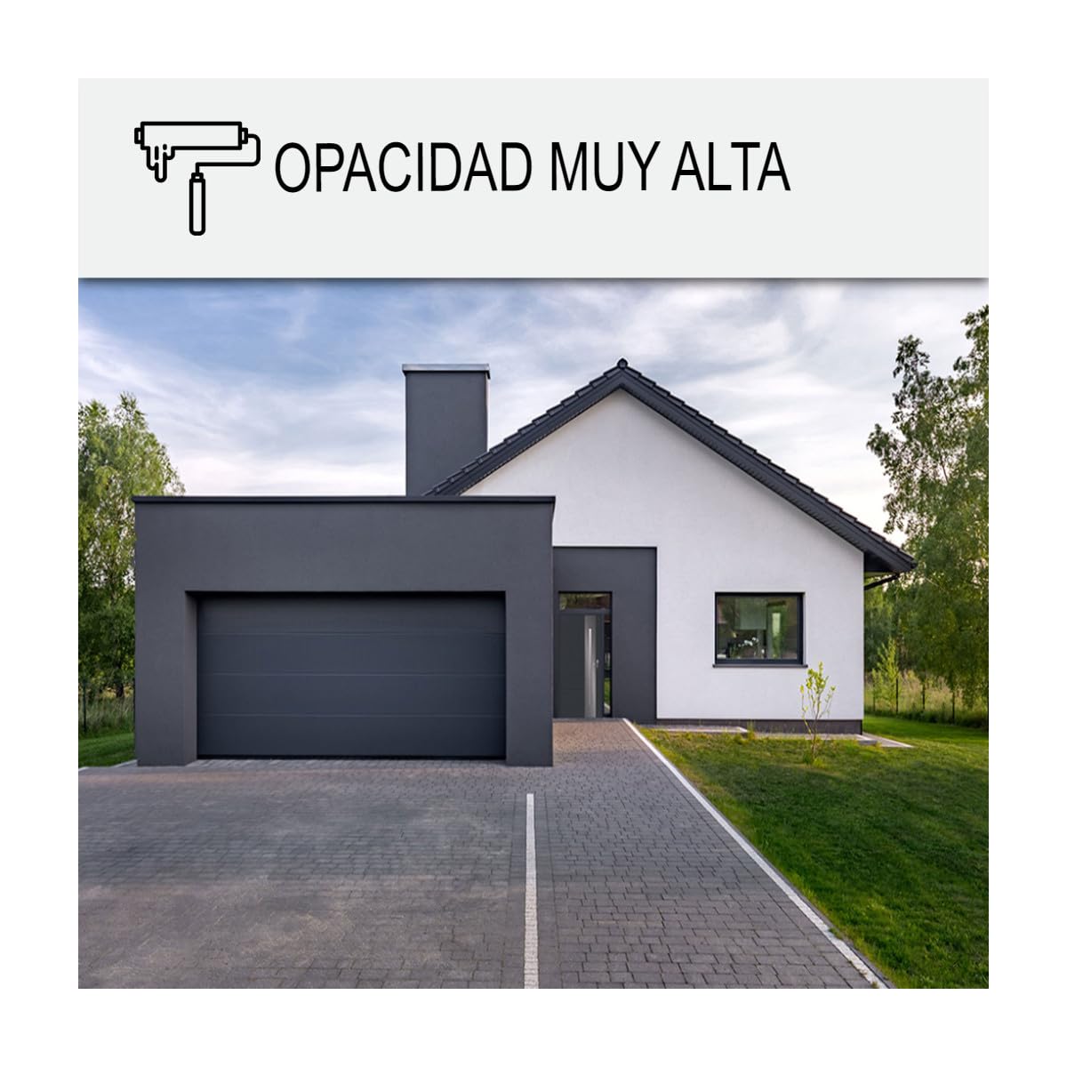 ARCANE INDUSTRIES Pintura Fachada Pliolite Impermeabilizante 10 L Blanco | Impermeabiliza la Fachada, Secado Rápido, Antisuciedad, Alto Poder Cubriente, Buena Adherencia - Arcane Industries