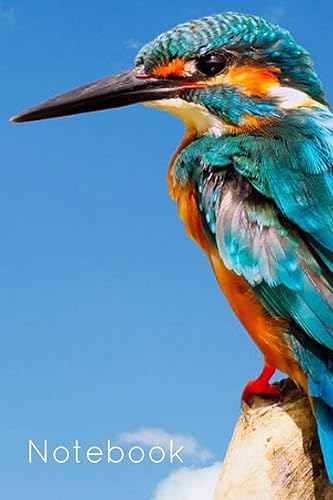 Notebook: Kingfisher Bird Book Notepad Notebook Composition and Journal Gratitude Diary