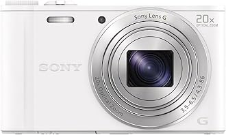 Sony DSCWX350 Digital Compact Camera with Wi-Fi and NFC (18.2 MP, 20x Optical Zoom) - White