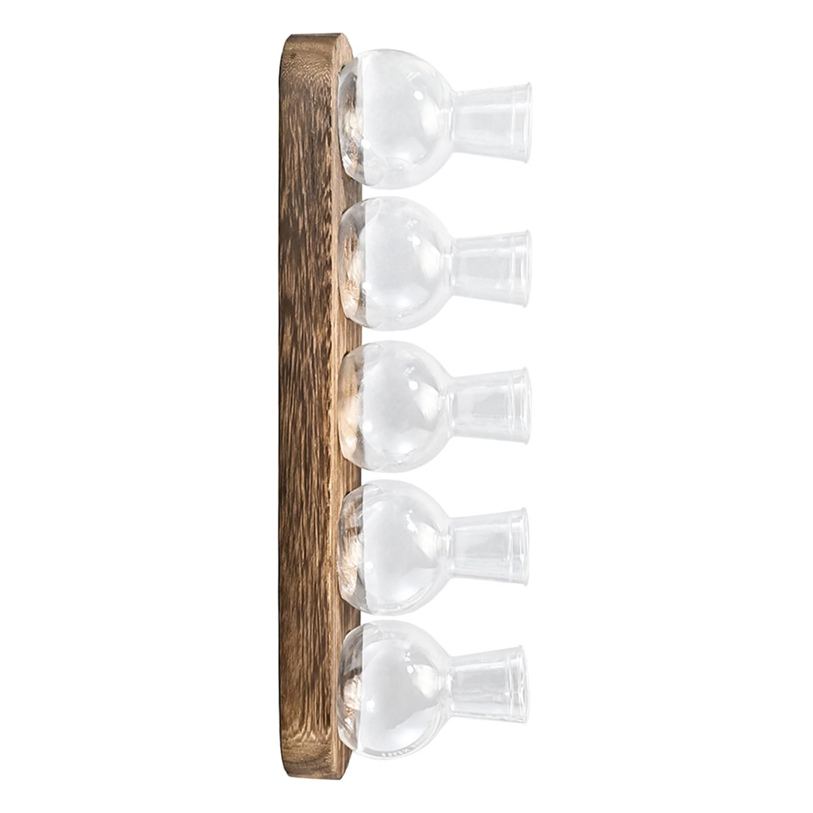Rxgiasup 5 Vases Clear Propagation Vessel For Indoor Planter Hydroponics Planter With Wood Stand Home Desk Display Decors Hydroponic