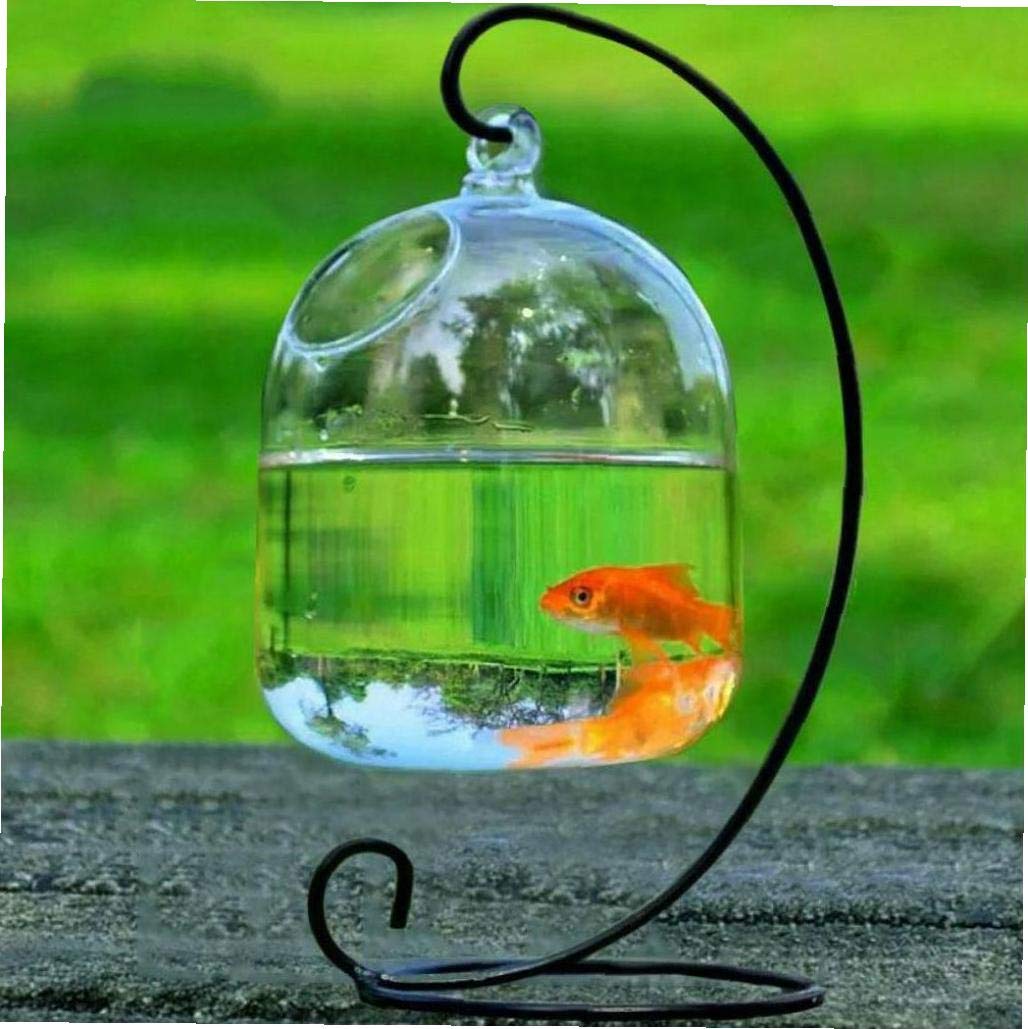 アクアリウムテラリウム LEDSTAR インフィニティハイラエア こちらはDOT-3proを使用した