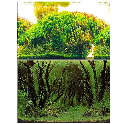 50x62cm 水族館ポスター 3D効果 バックスクリーン 水草 両面壁紙 水槽の背景 水槽の飾り
