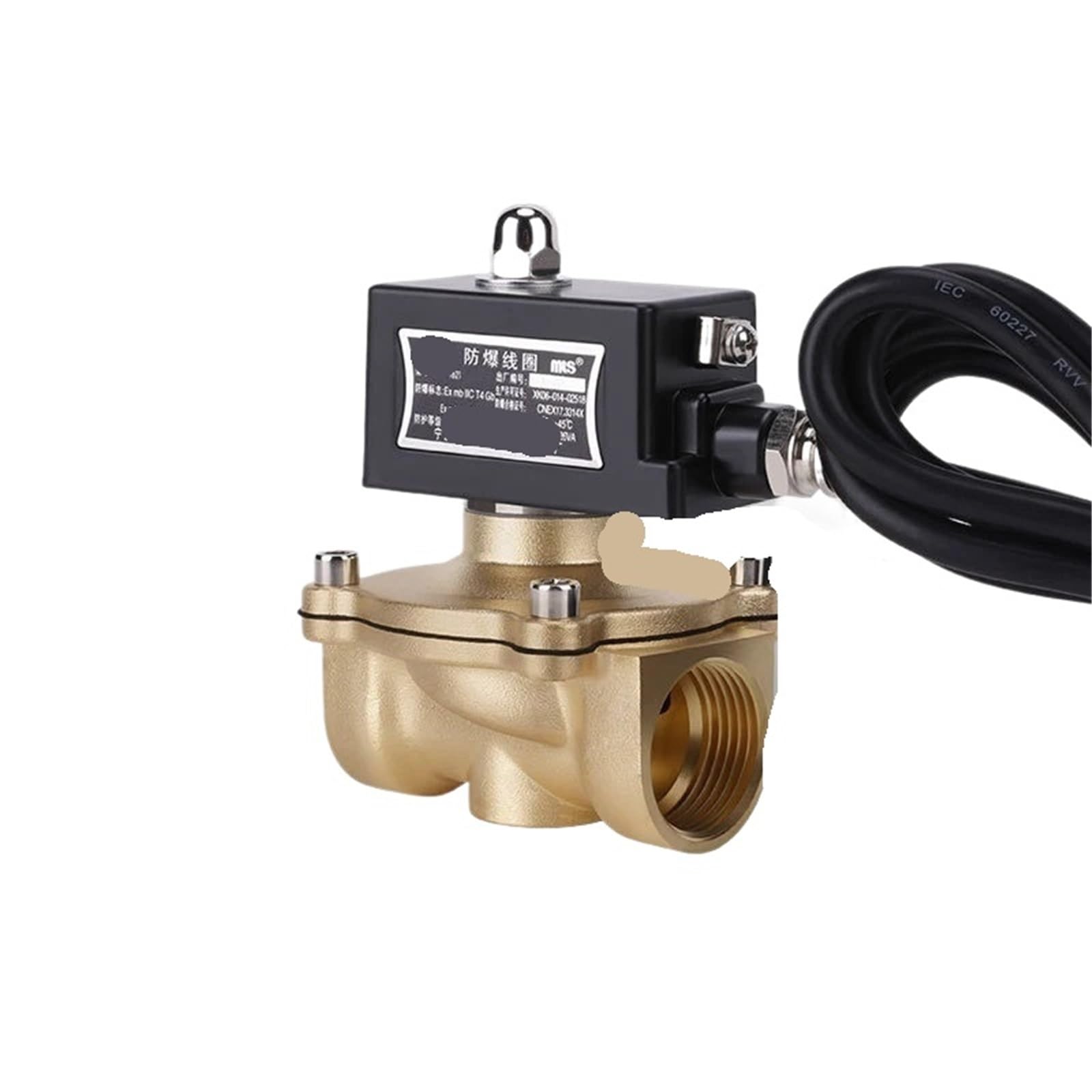 Électrovanne gaz naturel 1 po laiton normalement fermée 220VAC