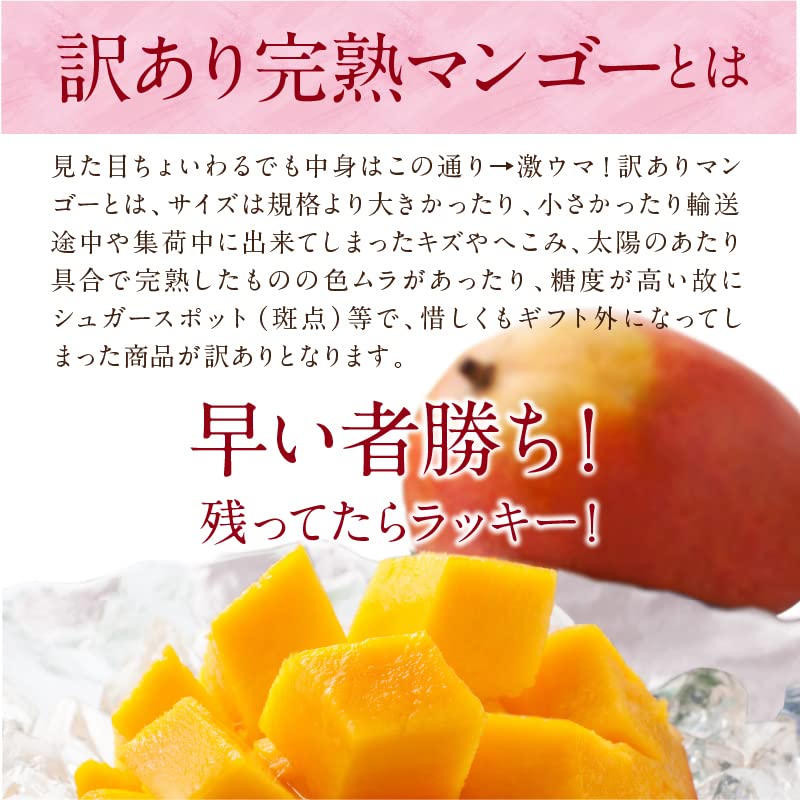 【早い者勝ち】宮崎県産 完熟マンゴー5kg 早いもの勝ち/完熟！宮崎マンゴー5kg 【公式通販】