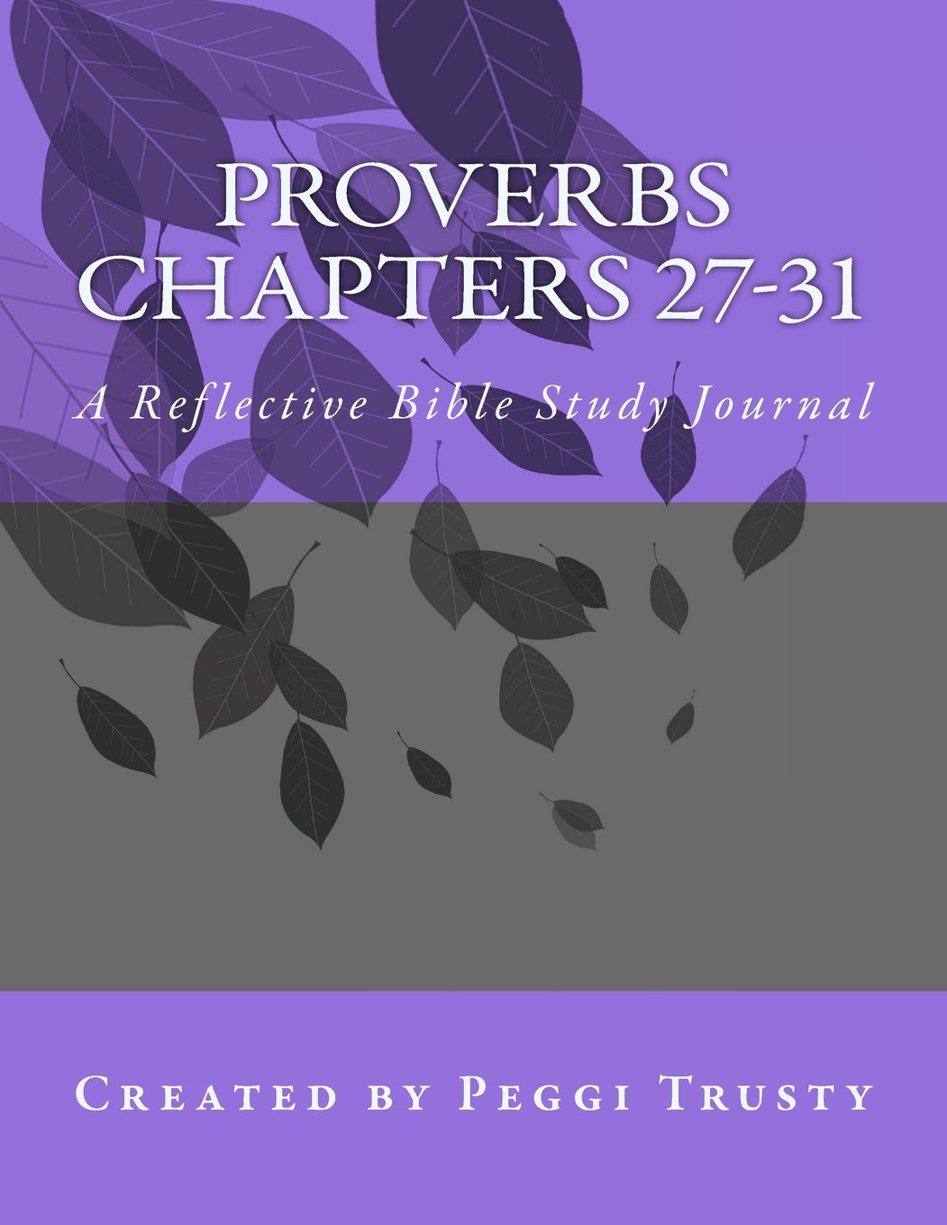 Proverbs, Chapters 27-31: A Reflective bible Study Journal (proverbs | the reflective bible study journals)