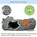 DaToo Aquarium Wood Ornament Fish Tank Trunk Decoration Tree Wood Driftwood Decor with Cave, 1 Yr Warranty