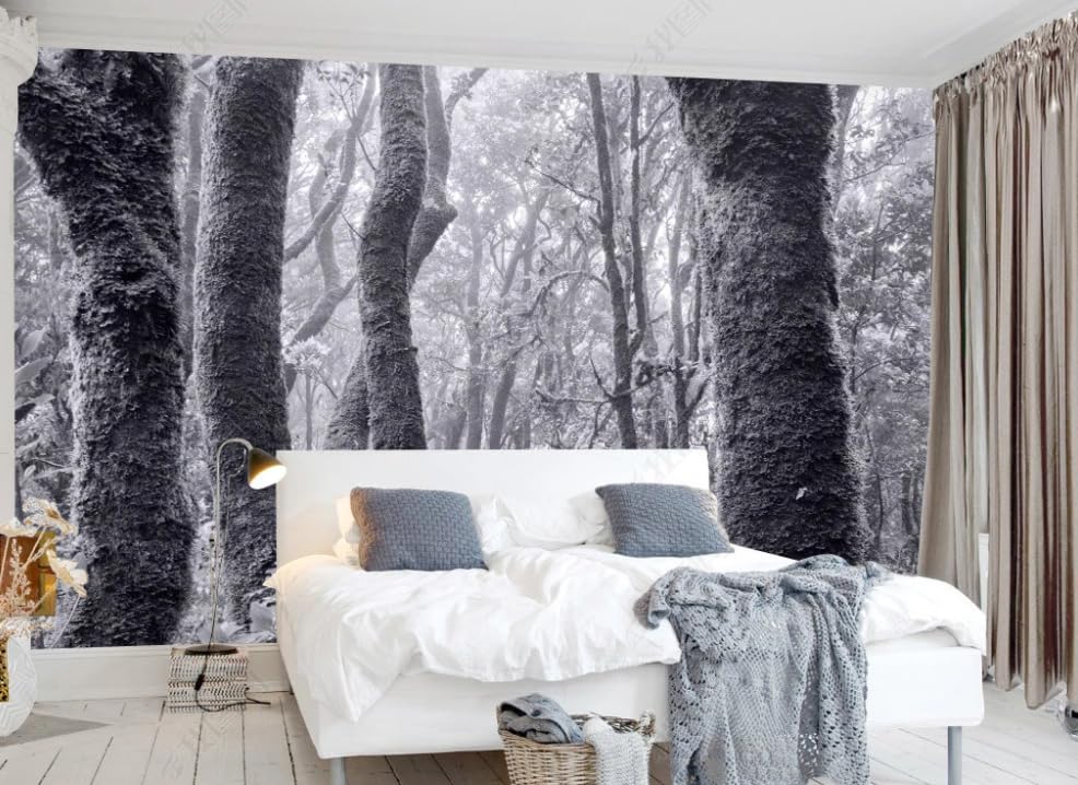 Poster géant mural arbre noir et blanc pour créer un salon zen et élégant