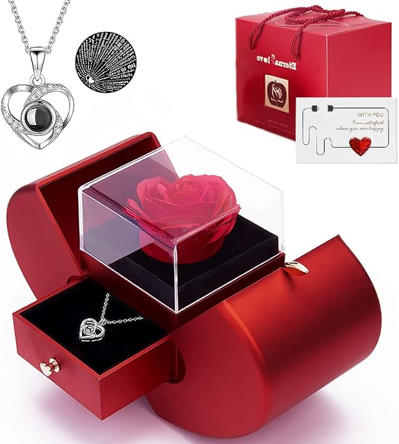 Valentines Day Roses Gifts for Womens,Preserved Rose Gifts for Girlfriend Women with I Love You100 Languages, Gifts for Mom Wife Girlfriend Her on Mothers Day Christmas Anniversary Birthday