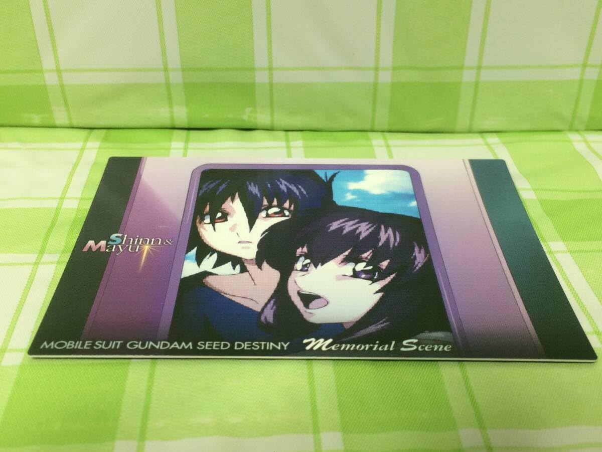 Amazon.co.jp: カードダスマスターズ SEED DESTINY シン アスカ マユ