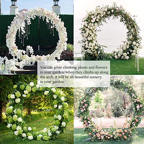 6.5 Ft Round Metal Arch Garden, Arbor For Garden, Indoor And Outdoor, Party Decoration, Easy Assembly (With Support Legs, Ground Anchors, Screwdriver, Instructions) #TOP3