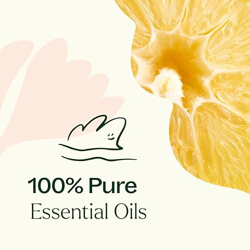 Miniatura 5 de Plant Therapy Mezcla de aceites esenciales de magdalena de limón, 0.3 fl oz (1/3 oz) 100% puro, sin diluir, natural, grado terapéutico